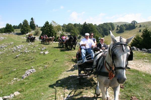 Campeggio Branchetto Hotell Bosco Chiesanuova Exteriör bild