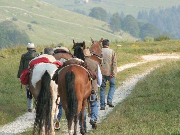 Campeggio Branchetto Hotell Bosco Chiesanuova Exteriör bild