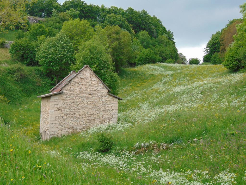 Campeggio Branchetto Hotell Bosco Chiesanuova Exteriör bild